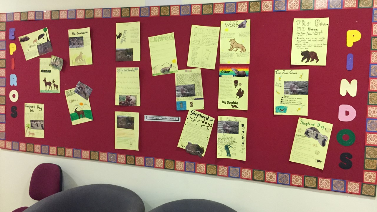 "Wildlife and the Pindos Mountain" Activity Bulletin Board Presentation