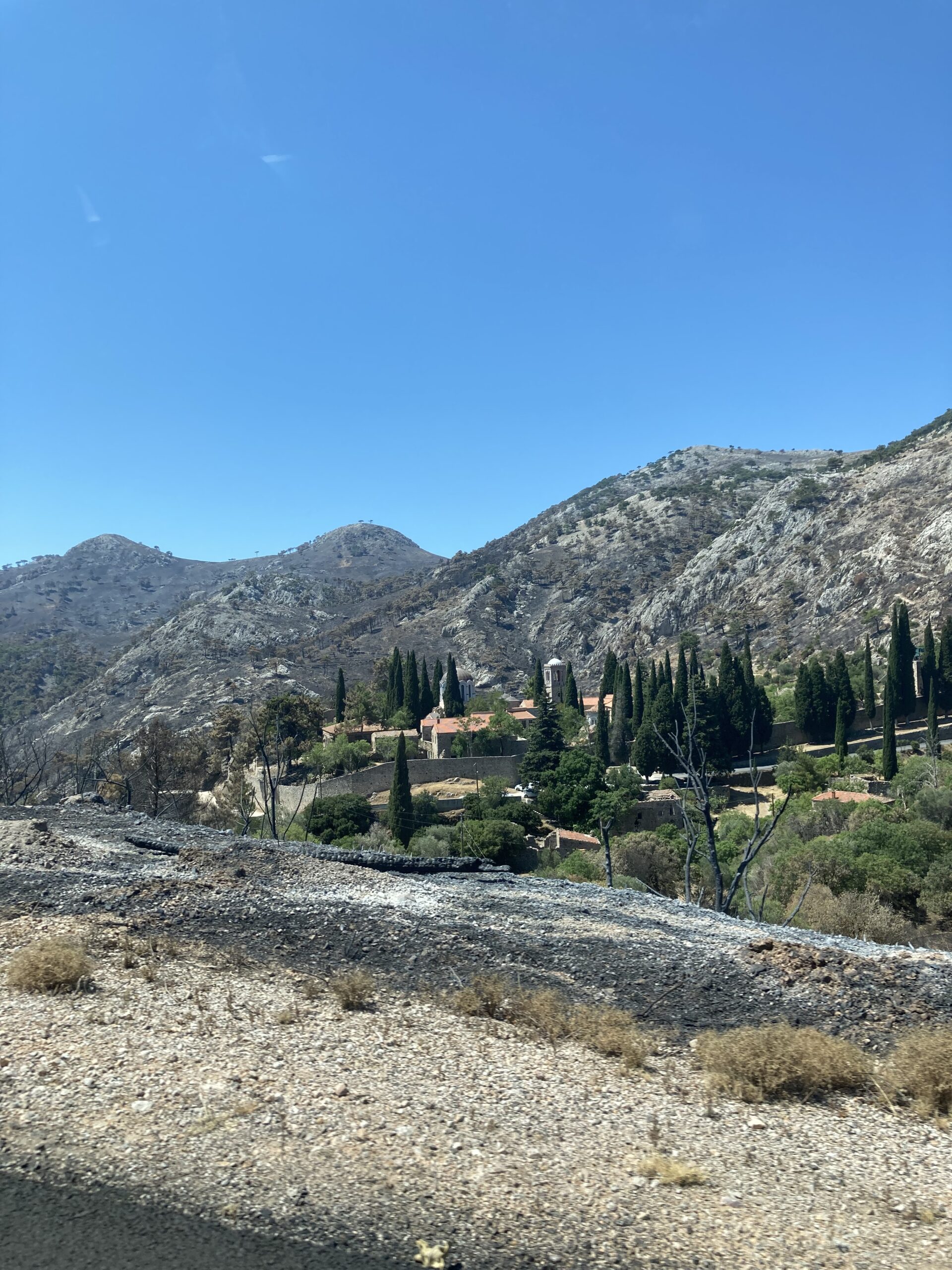 Exterior view of the Nea Moni monastery on Chios Island, Greece, a Byzantine complex set in a wooded hillside, with stone buildings and red-tiled roofs surrounding the central church. 
