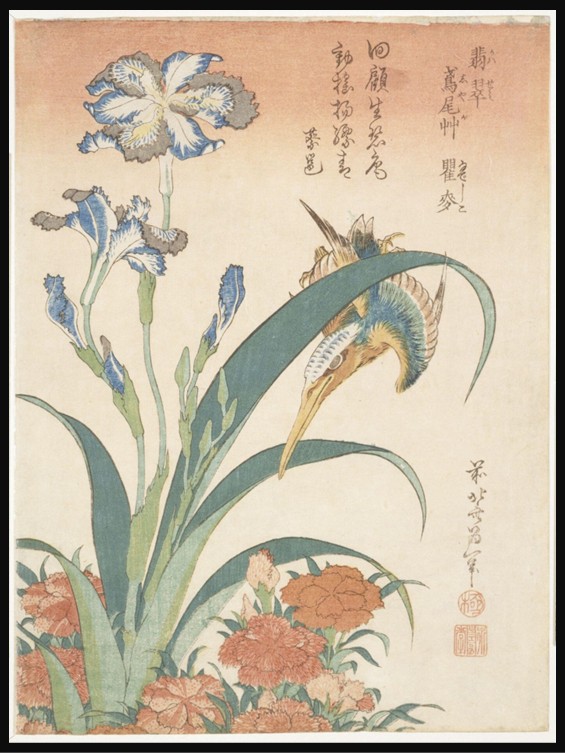 A Japanese woodblock print of a blue and rust-colored kingfisher perched on a curved iris leaf, its long beak pointing downward. Tall blue irises and pink wild carnations grow against a pale beige background, with black calligraphy and red seals adding balance to the calm, natural scene.