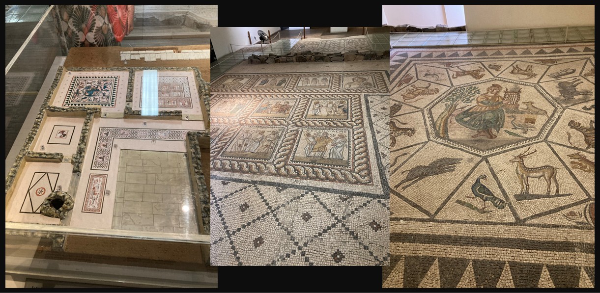 Roman floor mosaics from the House of Menander in Mytilene, composed of multicolored tesserae.