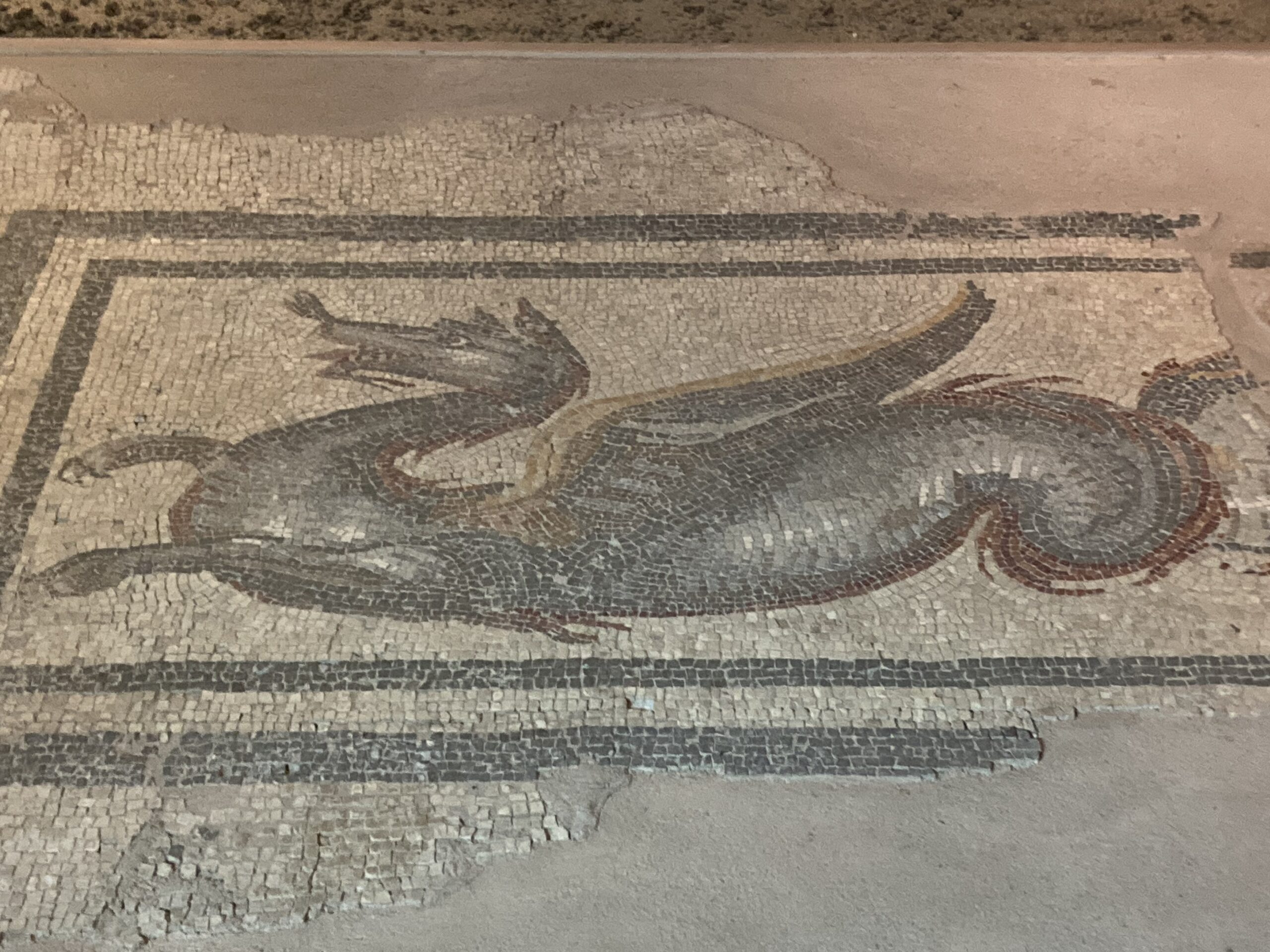 Detail of the passageway 'Dragon' floor mosaic from the House of Euripos in Mytilene, 2nd-3rd century AD.